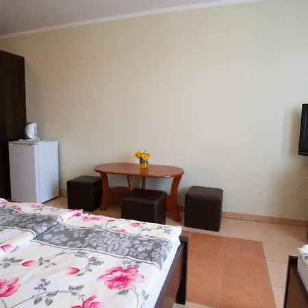 Arielle منزل للإقامة Łazy